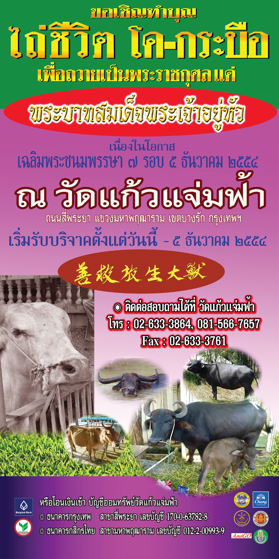 ขอเชิญร่วมทำบุญ ไถ่ชีวิต โค - กระเบือ ปี 2554 เพื่อถวายเป็นพระราชกุศลแด่ พระบาทสมเด็จพระเจ้าอยู่หัว เนื่องในโอกาสเฉลิมพระชนพรรษา 7 รอบ  5 ธันวาคม 2554 ณ วัดแก้วแจ่มฟ้า ถนนสี่พระยา แขวงมหาพฤฒาราม เขตบางรัก กรุงเทพฯ 10500