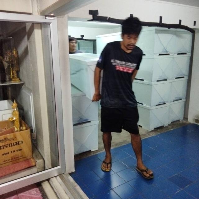 วันที่ 3 กรกฎาคม 2569 วัดมัชฌิมาวนาราม ขอรับบริจาคโลงศพ